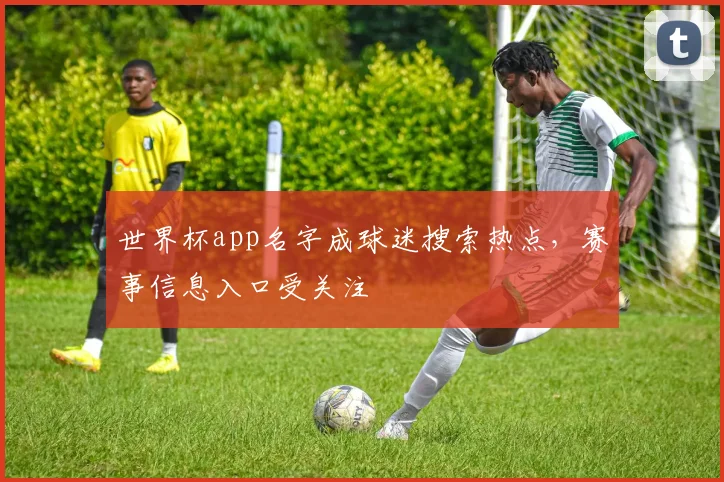 世界杯app名字成球迷搜索热点,赛事信息入口受关注