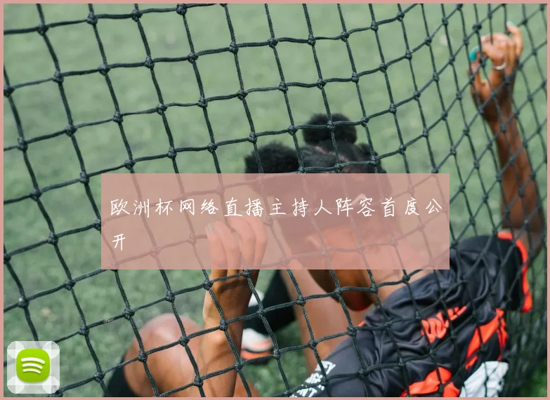 欧洲杯网络直播主持人阵容首度公开