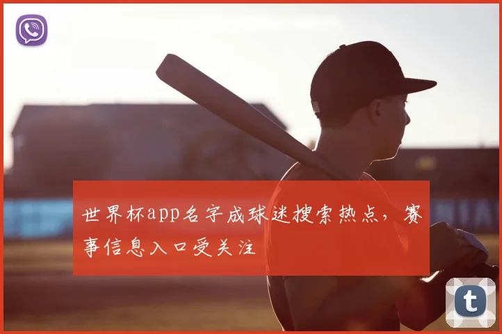 世界杯app名字成球迷搜索热点,赛事信息入口受关注