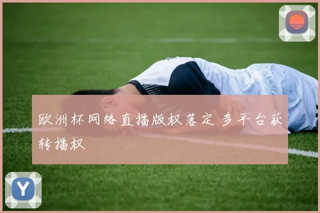 欧洲杯网络直播版权落定 多平台获转播权