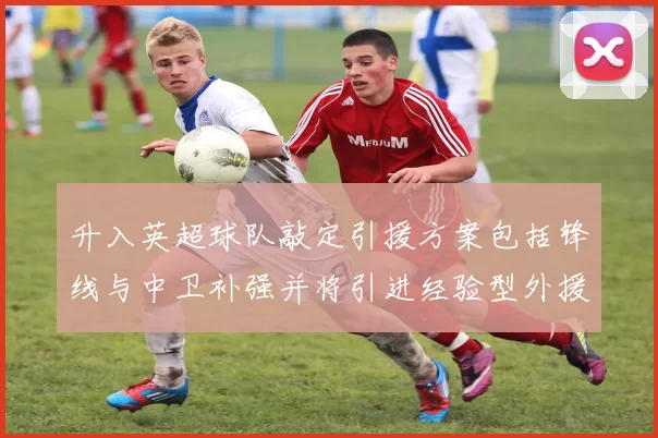 升入英超球队敲定引援方案包括锋线与中卫补强并将引进经验型外援