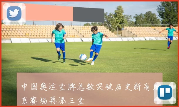 中国奥运金牌总数突破历史新高东京赛场再添三金