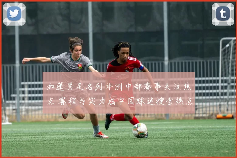 加蓬男足名列非洲中部赛事关注焦点 赛程与实力成中国球迷搜索热点